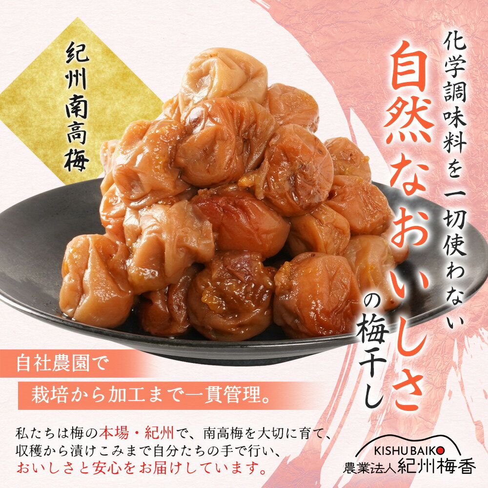 【ふるさと納税】 【訳あり】和歌山県産 紀州南高梅 梅干し 1kg (500g×2パック) 無添加 減塩 塩分3％ 大粒 肉厚 ご家庭用 おにぎり お弁当用