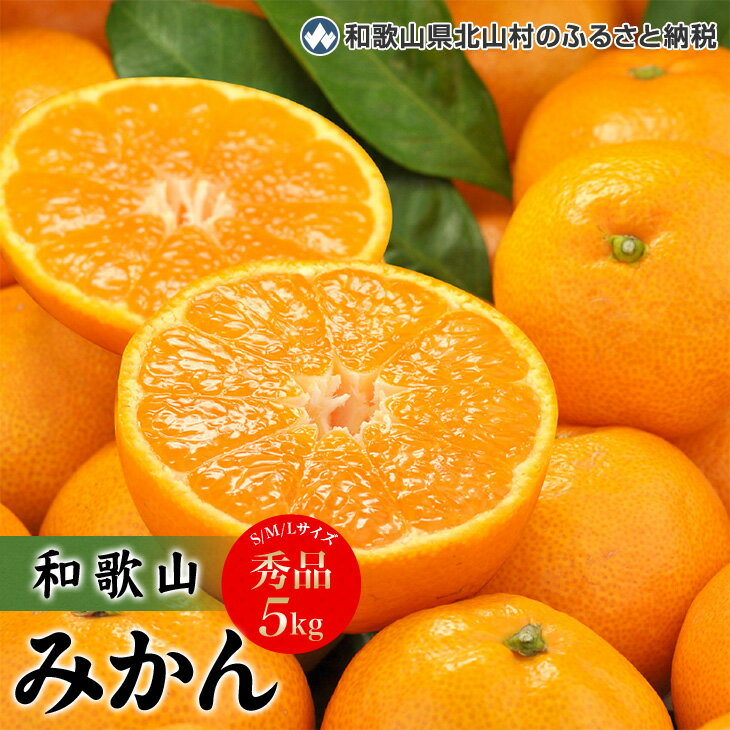 【ふるさと納税】田村みかん　秀品5キロ　サイズおまかせ/紀伊国屋文左衛門本舗　◆2021年11月下旬〜2022年1月中旬頃に発送予定(お届け日指定不可)【予約受付】