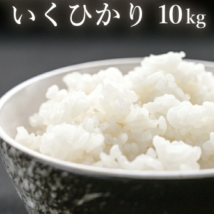 いくひかり（和歌山県日高郡産）10kg【2023年産】＜準備出来次第、順次発送）