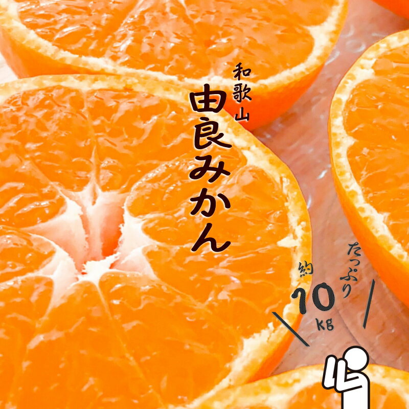 【ふるさと納税】和歌山由良みかん 約10kg 秀品 サイズおまかせ(L・М・S) いずれかお届け【sml111A】