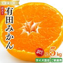 【ふるさと納税】紀州有田みかん 訳あり 約5kg キズ ご家庭用 サイ...(4)
