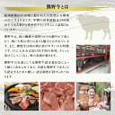 和歌山県北山村の画像2