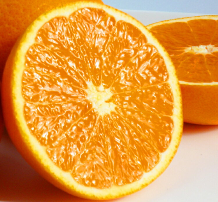 [予約][ジューシー]清見オレンジ 5kg ※2025年3月下旬〜2025年4月中旬頃に順次発送予定(お届け日指定不可)