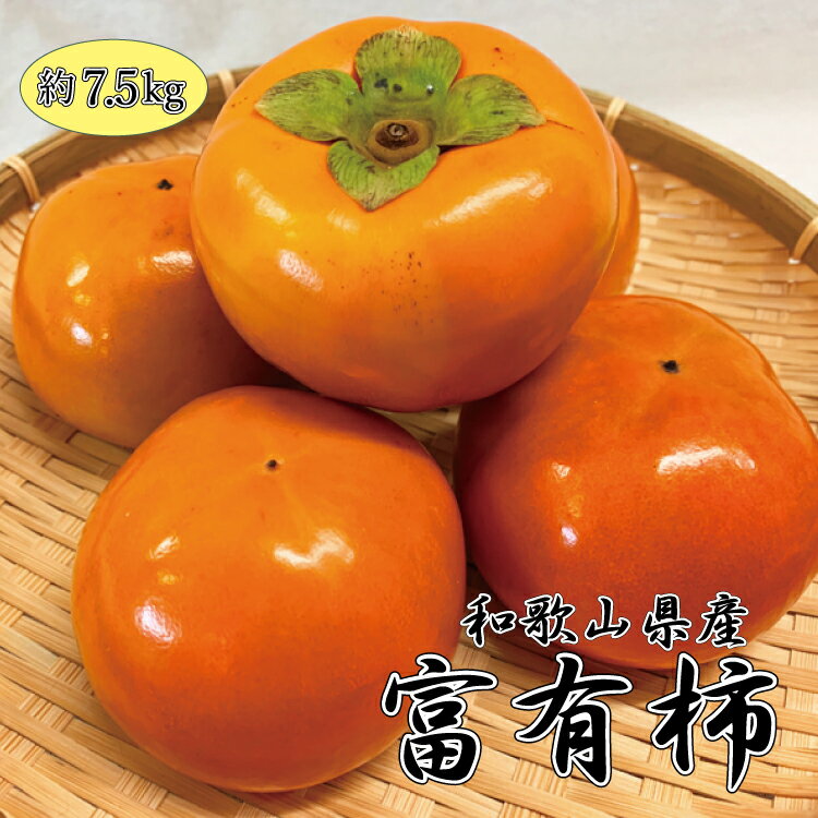 【ふるさと納税】 和歌山秋の味覚 富有柿 約7.5kg ※2025年11月上旬頃〜2025年12月上旬頃発送(お届け日指定不可)
