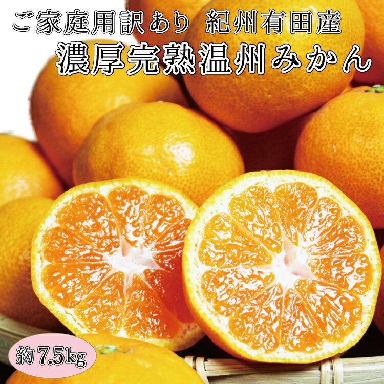 【ふるさと納税】【ご家庭用訳アリ】紀州有田産濃厚完熟温州みかん　7.5kg　※2024年11月下旬頃〜2025年1月下旬頃に順次発送（お届け日指定不可）