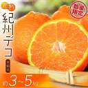 【ふるさと納税】 果肉プリプリ♪ 完熟紀州デコ(不知火) 約3kg・5kg <2025年2月中旬頃〜3月中旬頃発送>