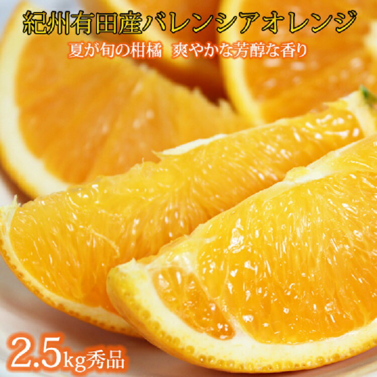 秀品　希少な国産バレンシアオレンジ　2.5kg　※2024年6月下旬頃～2024年7月上旬ごろ順次発送予定（お届け日指定不可）