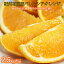 【ふるさと納税】秀品　希少な国産バレンシアオレンジ　2.5kg　※2024年6月下旬頃～2024年7月上旬ごろ順次発送予定（お届け日指定不可）