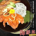 【ふるさと納税】 紀州湯浅醤油を使ったサーモンとカンパチの漬け&釜揚げしらすの 海鮮丼 3種セット 計300g
