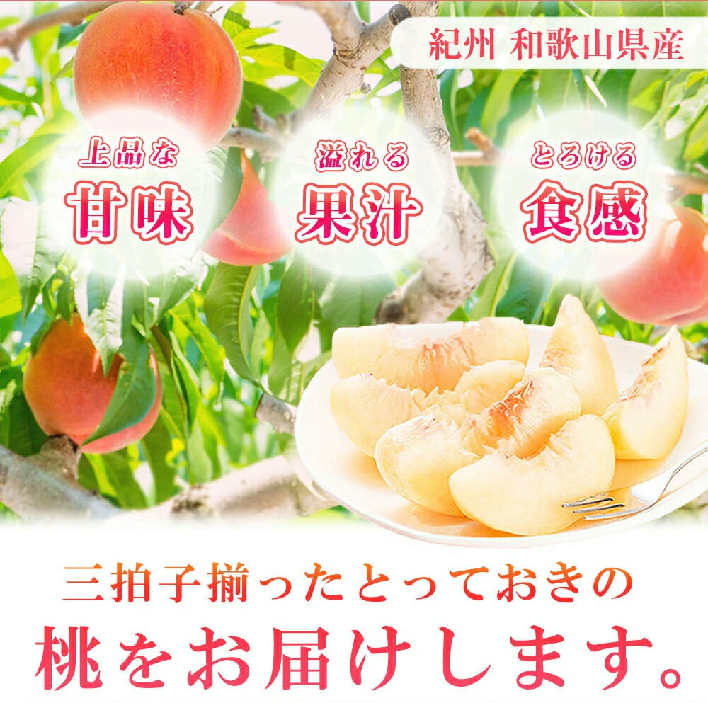 【ふるさと納税】紀州和歌山産の桃　15玉　化粧箱入 ※2024年6月中旬頃～8月中旬頃順次発送（お届け日指定不可）