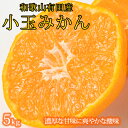 【ふるさと納税】 有田の小粒みかん5kg (S~3Sサイズ混合) ※22025年1月中旬頃~1月下旬頃に順次発送予定(お届け日指定不可)(4)