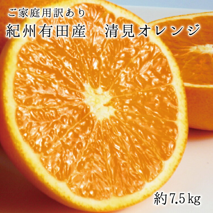 商品詳細 名称： 清見オレンジ 内容量： 清見オレンジ　7.5kg 賞味期限： 6日 保存方法： 直射日光の当たらない、風通しの良い冷暗所で保存。 配送温度帯： 常温 製造者もしくは販売者 株式会社魚鶴商店 提供 株式会社魚鶴商店 返礼品発送元 株式会社魚鶴商店 注意事項： ・到着後すぐ箱から全部取り出し、傷んでいるものやカビが生えているものがないか確認してください。 ・返礼品の内容に問題がある場合はお届けから3日以内にご連絡ください。 ・保管はフタを開けて、できるだけ風通しのよい冷暗所で保存してください。 和歌山県は全国有数の柑橘生産地。 温暖な気候と太陽の恵みが、濃厚でジューシーな果汁たっぷりの清見オレンジを育てました！ 春の柑橘として人気が高い品種で、温州みかんの甘みとオレンジの香りを受け継いだ魅力あふれるフルーツです。 デコポン・ポンカンと並び“平成の三大柑橘”とも呼ばれています。 ※画像はイメージです。 ※到着後はなるべく涼しく風通しの良い場所で保管下さい。 ※果皮に多少のキズやしわ、しみ等のある場合がございますが、品質上問題ございませんので、安心してお召し上がりください。 【こちらのお礼品は湯浅町と北山村との共通返礼品となります〔出荷元：魚鶴商店契約農家〕】 平成31年総務省告示第179号第5条第8号イ「市区町村が近隣の他の市区町村と共同で前各号いずれかに該当するものを共通の返礼品等とするもの」に該当する返礼品として、湯浅町と北山村が合意したものです。 ・誠に申し訳ございませんが、離島へのお礼品の配送はお受けできません。 ・ふるさと納税よくある質問は こちら ・寄附申込みのキャンセル、返礼品の変更・返品はできません。あらかじめご了承ください。 ・こちらは和歌山県湯浅町と和歌山県北山村の共通返礼品です【注文内容確認画面の「注文者情報」を寄附者の住民票情報とみなします】 ・必ず氏名・住所が住民票情報と一致するかご確認ください。 ・受領書は住民票の住所に送られます。 ・返礼品を住民票と異なる住所に送付したい場合、注文内容確認画面の「送付先」に返礼品の送付先をご入力ください。 ※「注文者情報」は楽天会員登録情報が表示されますが、正確に反映されているかご自身でご確認ください。