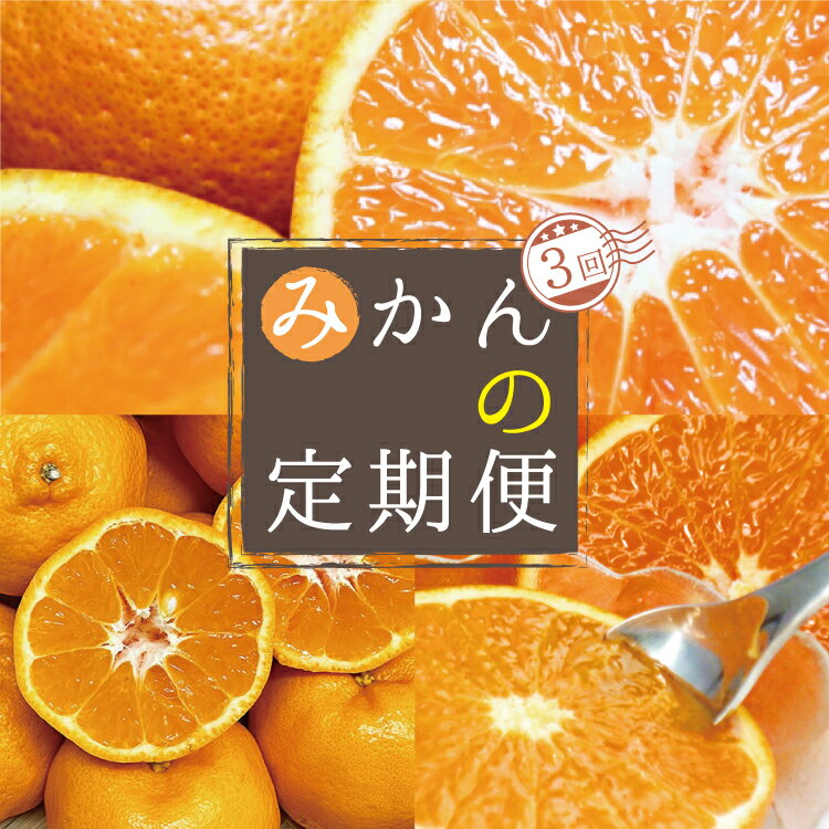 [3か月定期便]人気の柑橘を集めた!みかんの定期便