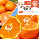 【ふるさと納税】 【定期便】【全3回】紀州和歌山産旬の柑橘定期便【みかん・不知火・せとか】/ フルーツ 果物 旬 定期 温州みかん しらぬい しらぬひ 定期便(4)
