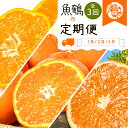【ふるさと納税】 【定期便】【全3回】紀州和歌山産旬の柑橘定期便【みかん・不知火・清見オレンジ】 / フルーツ 果物 旬 定期 温州みかん しらぬい しらぬひ 清見 温州みかん 有田 定期便(4)