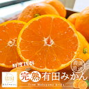 【ふるさと納税】 農園直送!完熟有田みかん 【選べる容量・発送月】 ※2025年11月〜12月に順次発送予定(お届け日指定不可)(4)