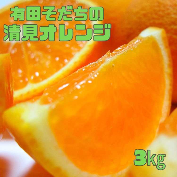 【ふるさと納税】【2025年3月上旬～発送】有田育ちの完熟清見オレンジ(ご家庭用)　約3kg