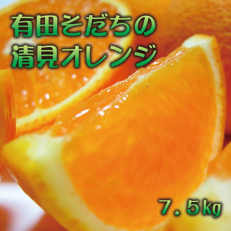 【2025年3月上旬～発送】有田育ちの完熟清見オレンジ(ご家庭用)　約7.5kg
