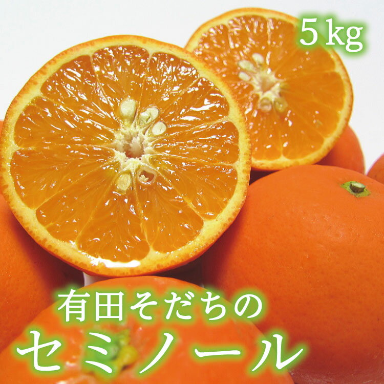 有田育ちの爽快セミノールオレンジ(ご家庭用)　約5kg　※2025年4月上旬～4月下旬順次発送予定