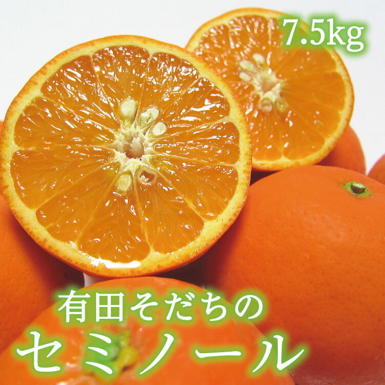 有田育ちの爽快セミノールオレンジ(ご家庭用)　約7.5kg　※2025年4月上旬～4月下旬順次発送予定