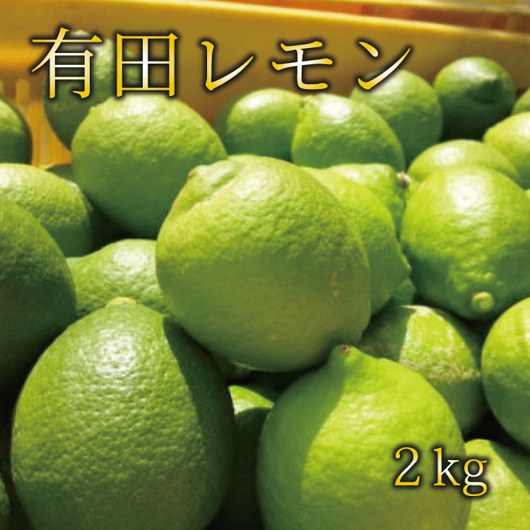 【国産】紀州和歌山　有田レモン 約2kg　※2024年10月上旬頃から順次発送