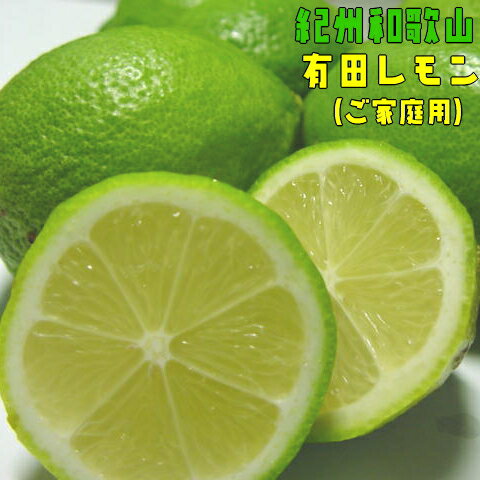 【ふるさと納税】 紀州和歌山 ご家庭用 有田レモン 約3kg【防腐剤・ワックス不使用】【農家直送】【訳あり】 ※着日指定不可 ※10月中旬〜2月下旬頃に順次発送のサムネイル
