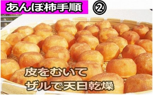 【ふるさと納税】あんぽ柿用生渋柿（平たねなし柿） 約4.5〜5kg 20~30個※10月下旬から随時発送（日付指定不可）-AP 3