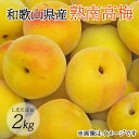 【ふるさと納税】 【梅干し・梅酒用】(LまたはM-2Kg)熟南高梅<2026年6月上旬~7月上旬ごろに順次発送予定>