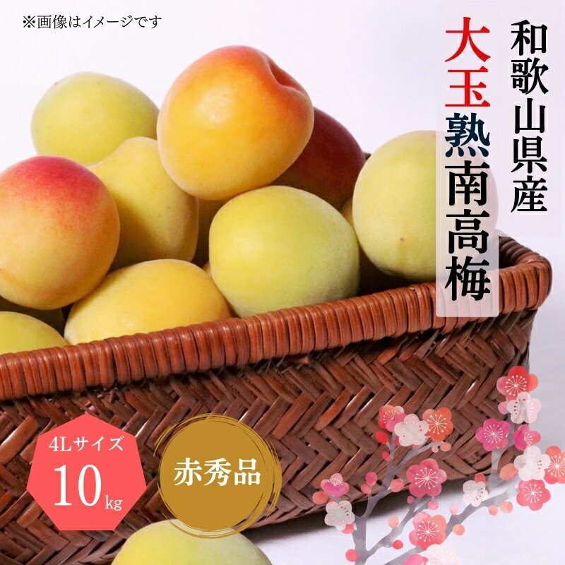 【ふるさと納税】 【梅干・梅酒用】大玉4Lサイズ10Kg熟南高梅 赤秀品<2025年6月上旬〜7月上旬ごろに順次発送予定>