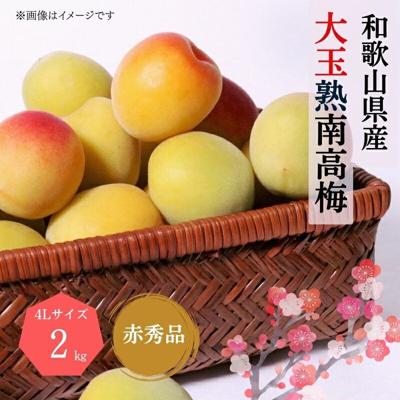 【ふるさと納税】 【梅干・梅酒用】大玉4Lサイズ2Kg熟南高梅 赤秀品<2025年6月上旬〜7月上旬ごろに順次発送予定>