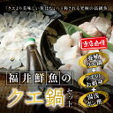 【ふるさと納税】 【先行予約】幻のクエ!国産 くえ刺身&鍋 湯浅ゆずポン酢セット くえ 鍋 セット