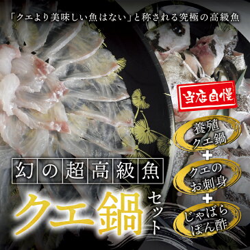 【ふるさと納税】【先行予約】 養殖クエ鍋500gとくえ刺身150g（じゃばらぽん酢100ml付）ふるさと 納税 串本町 串本 北山村 北山 お取り寄せ お取り寄せグルメ 取り寄せ 食品さしみ お刺身 刺身 鍋 お鍋 くえ クエ 高級 鍋セット