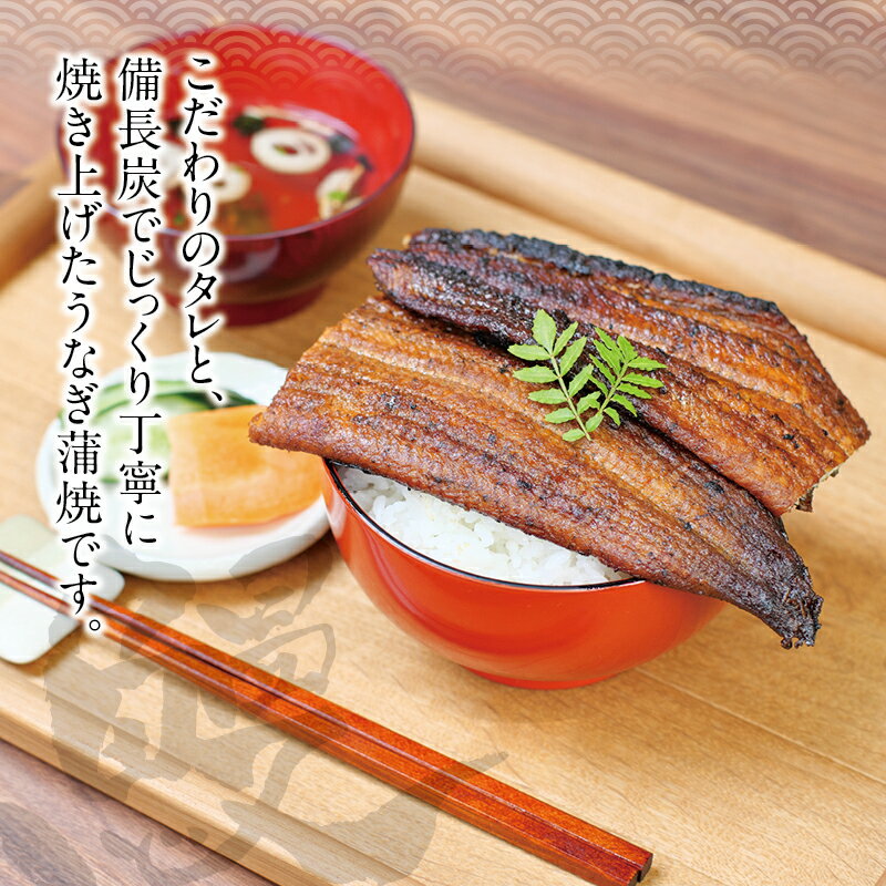 【ふるさと納税】国産うなぎ 紀州備長炭で焼き上げた うなぎ約200g×2尾セット うなぎ ウナギ 鰻 蒲焼き 国産 養殖