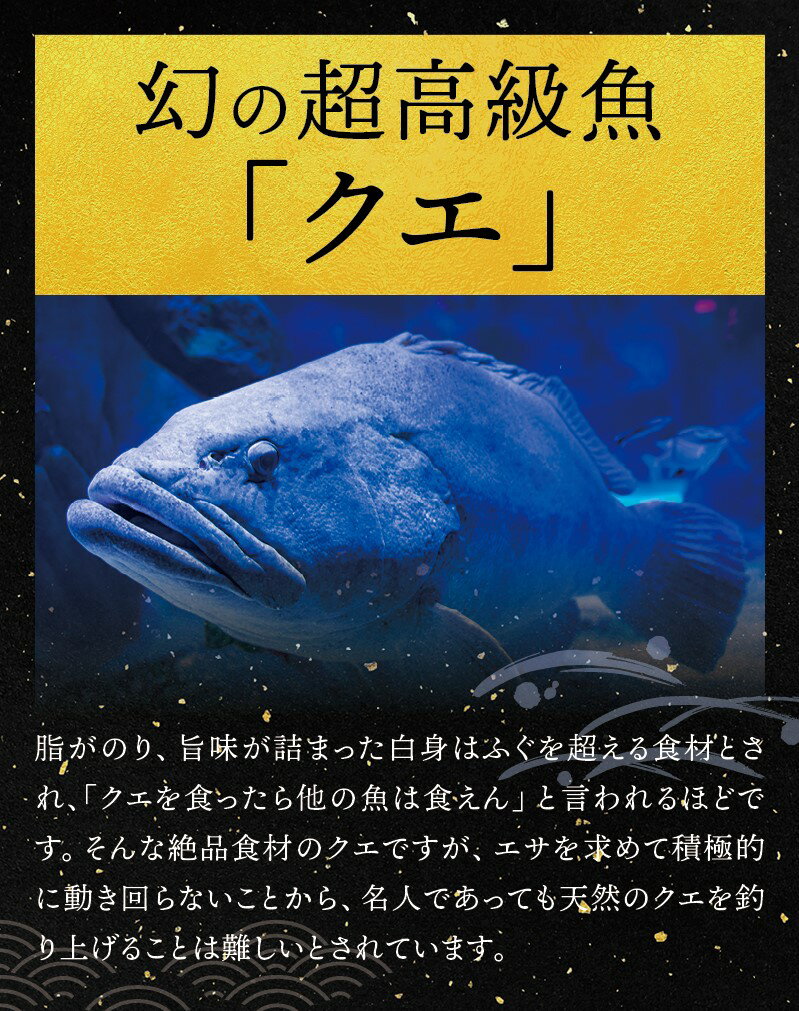 【ふるさと納税】【幻のクエ！国産】【先行予約】クエ鍋500gとじゃばらぽん酢100mlセット ふるさと 納税 串本町 串本 北山村 北山 お取り寄せ お取り寄せグルメ 取り寄せ 食品さしみ お刺身 刺身 鍋 お鍋 くえ クエ 高級 鍋セット