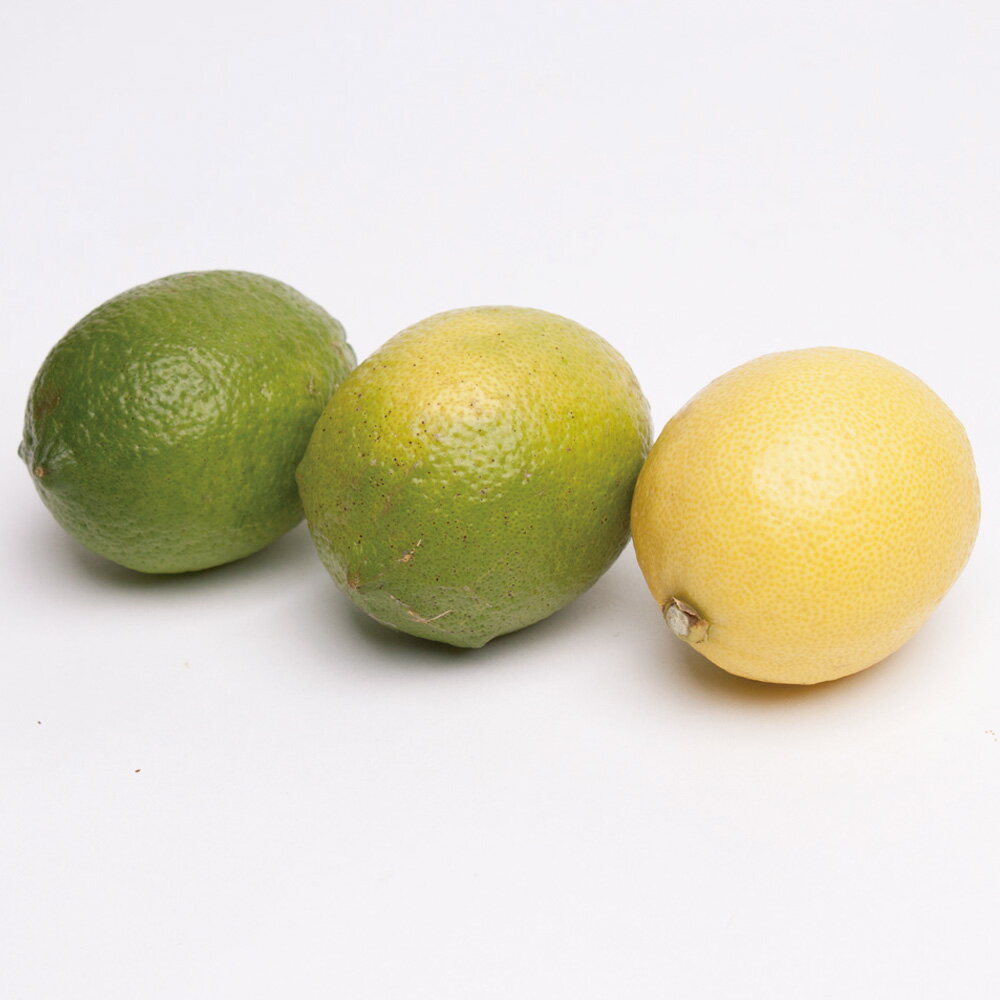 和歌山県北山村の画像3