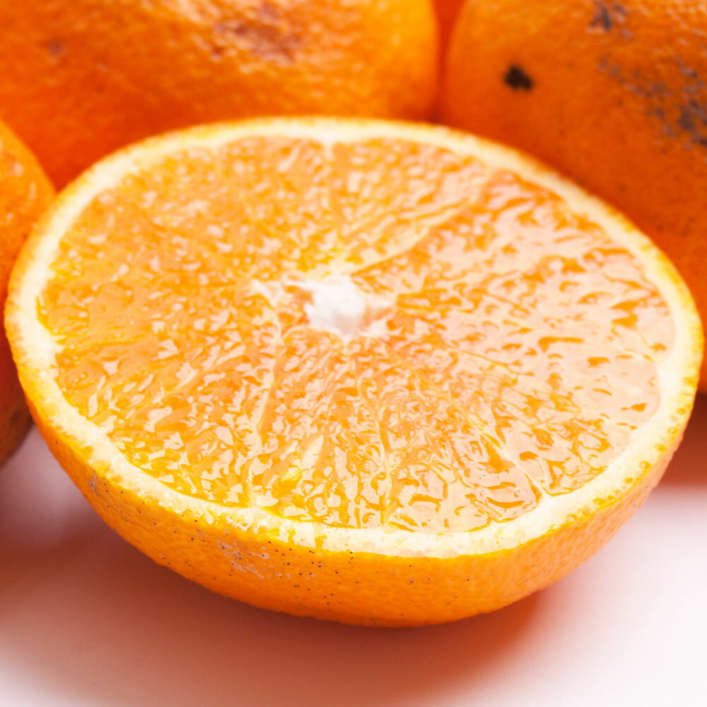 和歌山県北山村の画像2