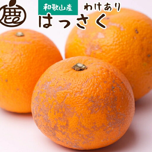 【ふるさと納税】 【先行予約】 家庭用 はっさく 1kg 2.5kg 5kg 7.5kg 10kg+250g(傷み補償分)【八朔みかん】【わけあり】<2026年1月~4月下旬ごろに順次発送予定> / 八朔 家庭用八朔 訳アリ みかん くだもの 果物 柑橘 和歌山 有田 有田みかん 【ふるさと納税】 【先行予約】 家庭用 はっさく 1kg 2.5kg 5kg 7.5kg 10kg+250g(傷み補償分)【八朔みかん】【わけあり】<2026年1月~4月下旬ごろに順次発送予定> / 八朔 家庭用八朔 訳アリ みかん くだもの 果物 柑橘 和歌山 有田 有田みかん