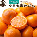【ふるさと納税】家庭用 小さな有田みかん (S以下) 【選べる容量】2...(4)