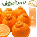 【ふるさと納税】<先行予約>厳選 不知火 選べる容量 1kg 2.5kg 5kg 7.5kg 10kg【デコポンと同品種・人気の春みかん】<2月より発送> ※北海道・沖縄・離島への配送不可 / しらぬい デコポン みかん ミカン 柑橘 果物 くだもの フルーツ 果実 和歌山 有田みかん
