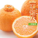 【ふるさと納税】 家庭用 不知火 デコポン 選べる容量 1kg 2.5kg 5kg 7.5kg 10kg 【デコポンと同品種・人気の春みかん】 <2026年2月~順次発送> 訳あり 訳アリ 不知火 デコポン みかん ミカン 柑橘 果物 くだもの フルーツ 先行予約