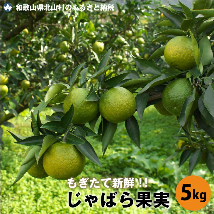 【ふるさと納税】 【期間限定】季節限定のフレッシュな味わい★じゃばら果実（5キロ）※2025年11月下旬よ..