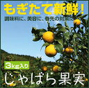 【ふるさと納税】★【11月下旬から発送】じゃばら果実(3キロ)