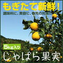【ふるさと納税】★【11月下旬から発送】じゃばら果実(5キロ)