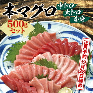 【ふるさと納税】お正月に間に合う！ 北山村 人気No.1 本マグロ （養殖） トロ ＆ 赤身 セット 500g / 年内発送 年内配送 じゃばらまぐろ 本マグロ まぐろ マグロ 鮪 中トロ 中とろ トロ とろ 赤身 柵 刺身 人気 予約 海鮮 海の幸 魚 魚介 ふるさと 【串本町×北山村】