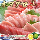 【ふるさと納税】本マグロ （養殖）トロ＆赤身セット 3kg 