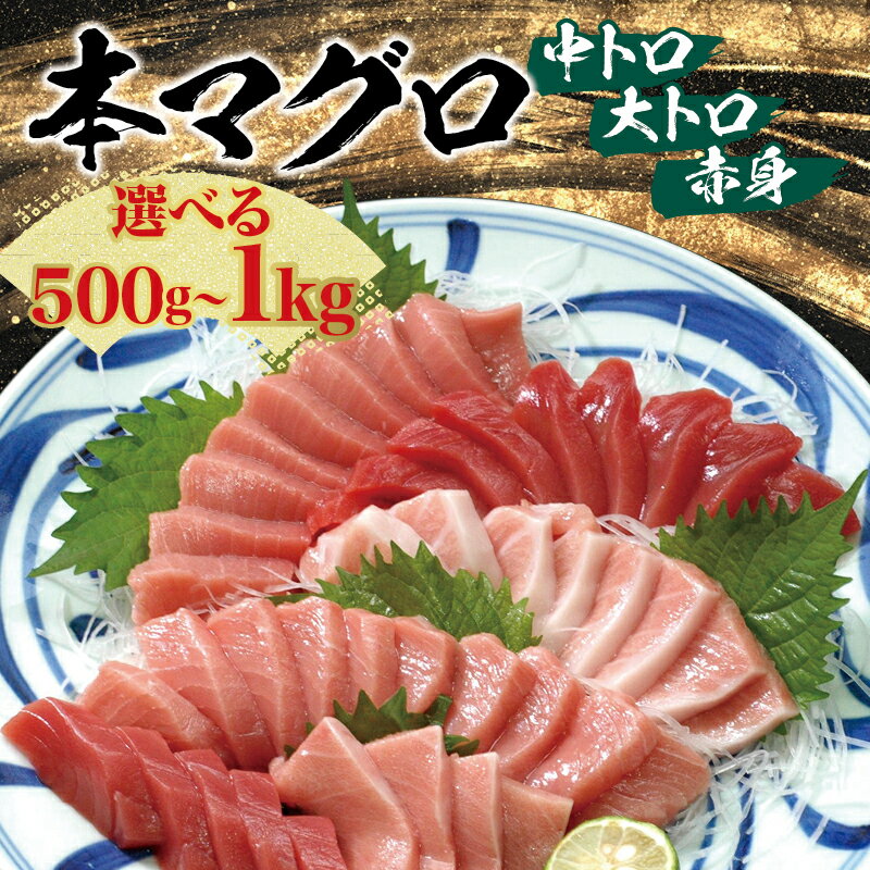 【ふるさと納税】 まぐろ 人気 No.1 本マグロ （養殖） トロ ＆ 赤身 セット 500g or 1kg マグロ 鮪 中トロ とろ 赤身 柵 刺身 海鮮 鮮魚 魚 魚介 海の幸 美味しい 送料無料