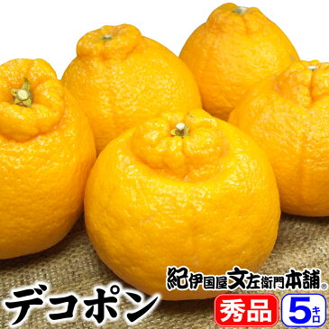 【ふるさと納税】★期間限定★デコポン不知火 約5kg 秀品 サイズおまかせ 紀伊国屋文左衛門本舗【予約受付/2月上旬以降発送】