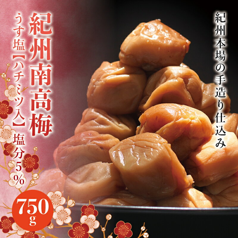 【ふるさと納税】 紀州南高梅 うす塩【ハチミツ入】 塩分5%(750g)なかやまさんちの梅干 うめ ウメ 梅干し