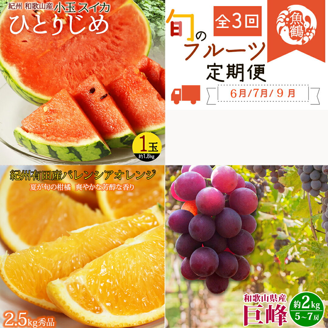 【ふるさと納税】 【全3回】 紀州和歌山産旬のフルーツセット (スイカ・バレンシア・巨峰) / 定期便 フルーツ フルーツ定期便 おすすめ 和歌山 果物 くだもの