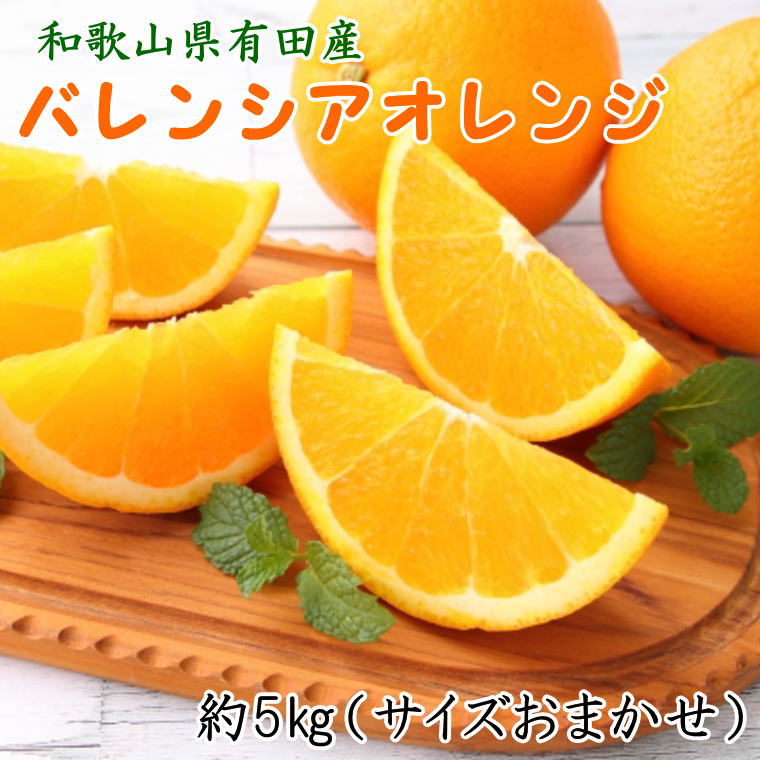 和歌山県有田産バレンシアオレンジ約5kg（サイズおまかせ）※2024年6月下旬～2024年7月上旬ごろ順次発送予定（お届け日指定不可）